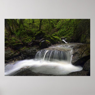 Deixais lhe para fluir 36 x 24 posters