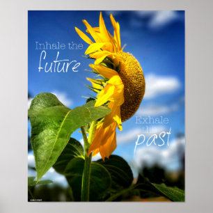 Deixar vai e poster anticipando