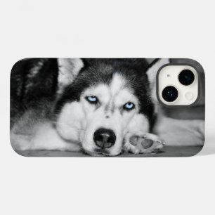 Deixe-me dormir, por favor