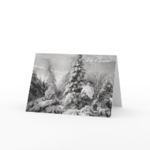 Deixe-o apagar o cartão