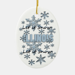 Deixe-o Enfeites de natal Snow Illinois