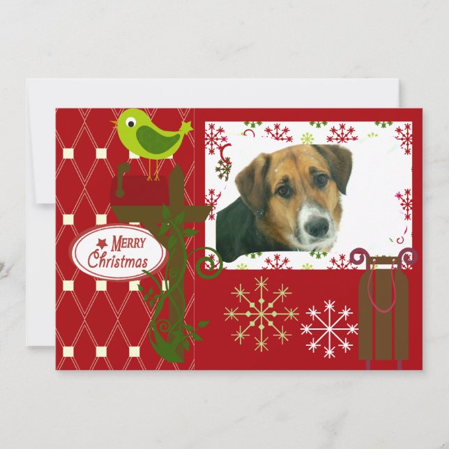 Deixe-o nevar com Cartão com fotos de férias perso (Frente)