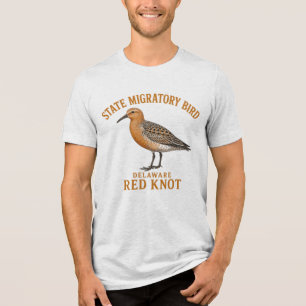 Delaware Red Knot Asas da Migração