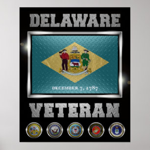 Delaware Veteran Poster