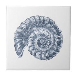 Delft Blue Ammonite Sea Shell NMaritime Beach Hous