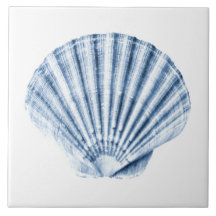 Delft Blue Clam Sea Shell NMaritime Beach House