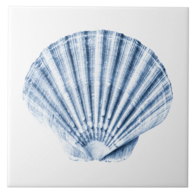 Delft Blue Clam Sea Shell NMaritime Beach House (Frente)