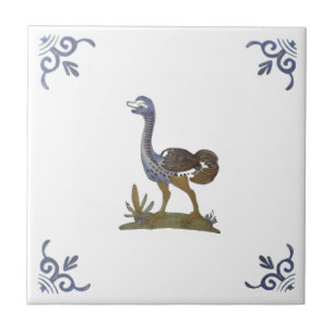 Delft de Ostrich Adorável no Azulejo Branco