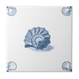 Delft Shell espiral telha com cantos de Shell