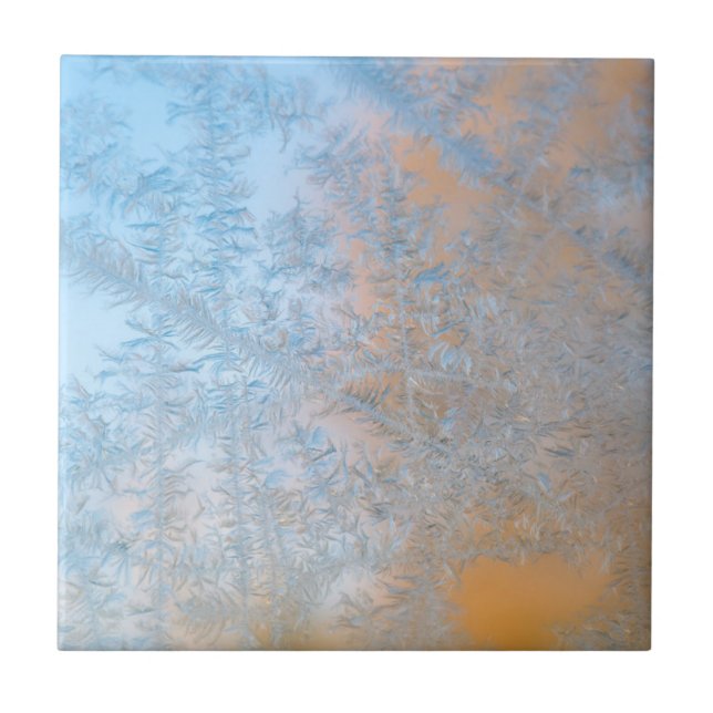 Delicate Frost, Wisconsin (Frente)