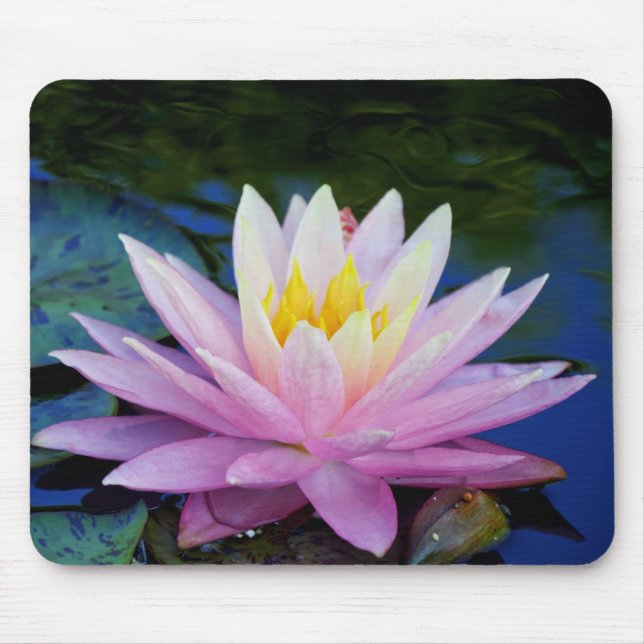 Delicate Waterlily Mousepad (Frente)