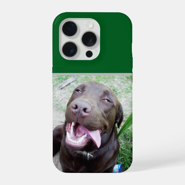 Delícias de Pateta: Cachorrinho Labrador Chocolate (Verso)