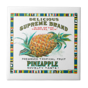 Delicioso abacaxi Preservado Tropical Fru