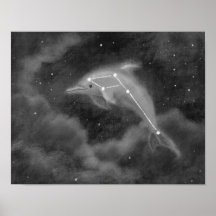 Delphinus Constelle Dolphin Poster