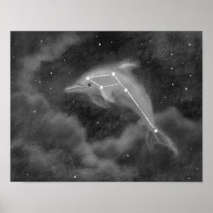 Delphinus Constelle Dolphin Poster