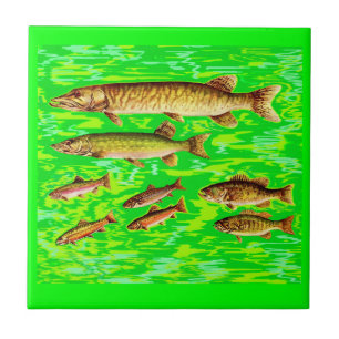 demasiados peixes no mar