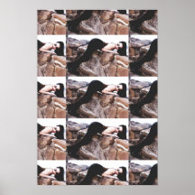 Demi Lowe No Colorado Poster 2