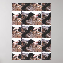 Demi Lowe No Colorado Poster 2