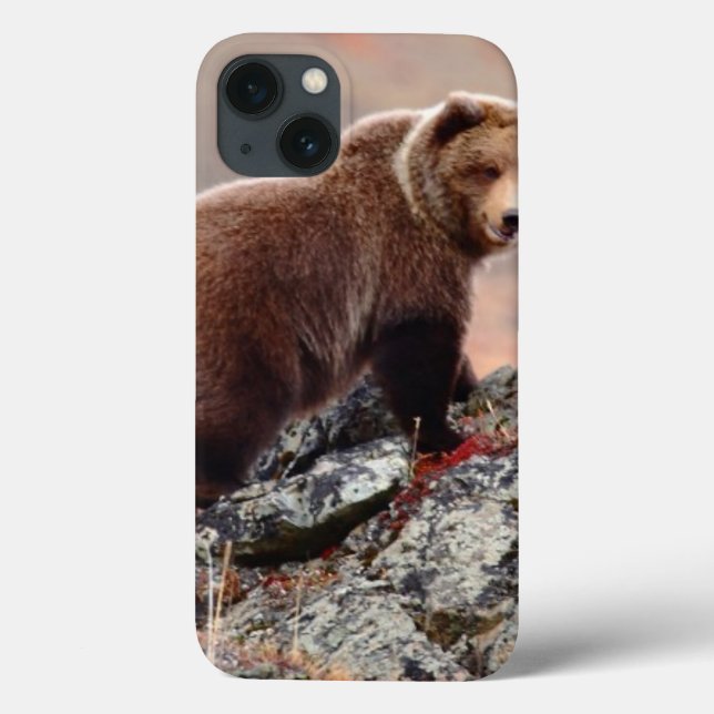 Denali Brown Bear (Verso)