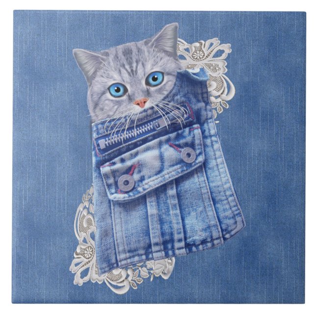Denim Jean bolsos, Kittens e Lace (Frente)
