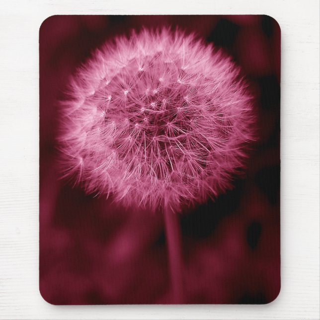 Dente-de-leão cor-de-rosa Mousepad (Frente)
