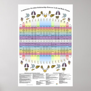 Dentes dentários Acupunctura Poster