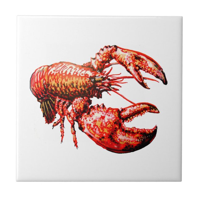 DENTRO DAS GARRAS (Frente)