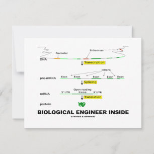 Dentro Engenheiro biológico