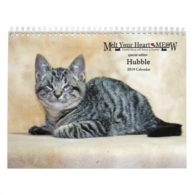 Derreta seu calendário de Hubble 2019 do Meow do (Capa)