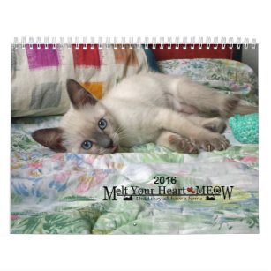 Derreta seu coração - calendário 2016 do gatinho