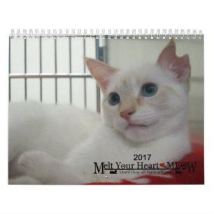 Derreta seu coração - calendário 2017 do gatinh