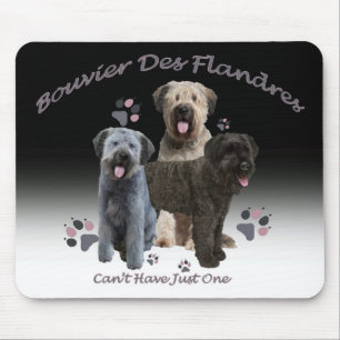 DES Flandres Mousepad de Bouvier