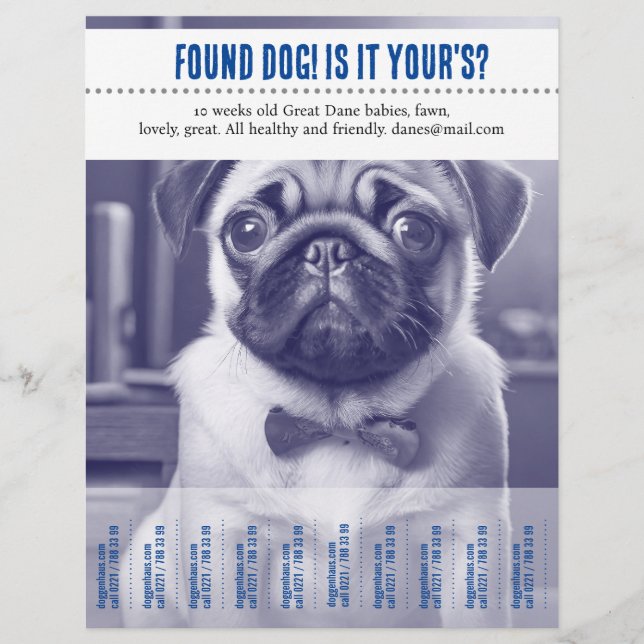 Descolado achado vendendo folheto  (Frente)