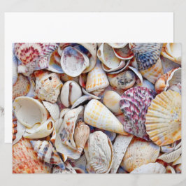 Descolagem de Aquarelas do Mar Conchas do Oceano P