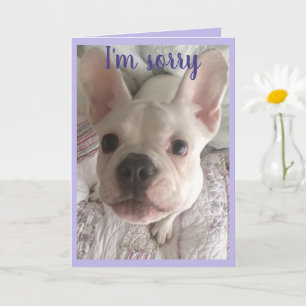 Desculpe-me por fazer um cartão francês Bulldog 