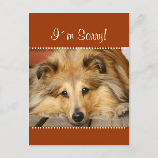 Desculpe o cartão postal