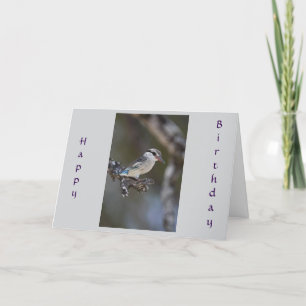 DESEJANDO UM CARTÃO FELIZ COMPARTILHADO DE "ANIVER