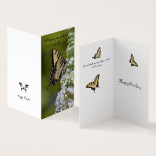 Desejos da borboleta do aniversário