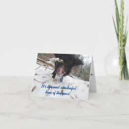 Desejos Feriados, Cartão de Natal De Suíno