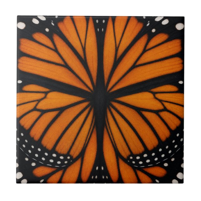 Desenho Abstrato da Borboleta Monarca (Frente)