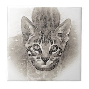 Desenho bonito do gatinho de Bengal