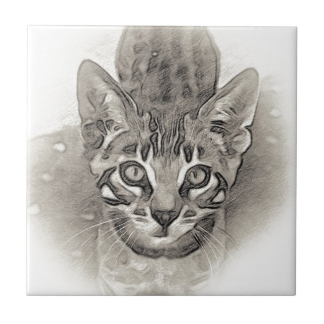 Desenho bonito do gatinho de Bengal (Frente)