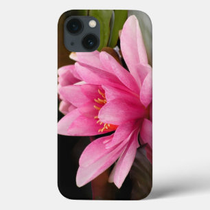 Desenho Botânico Floral de Nenúfar Tropical