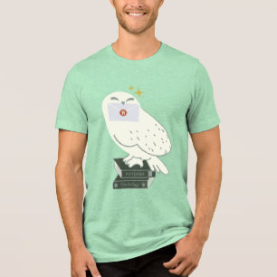 Desenho Caprichoso da Hedwig com Carta