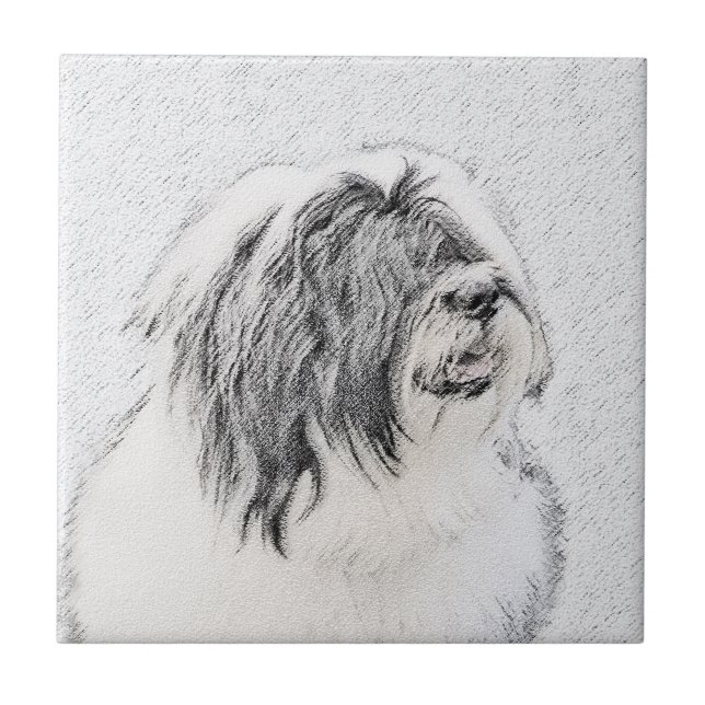 Desenho Collie Com Carapaça - Arte Cachorra Origin (Frente)