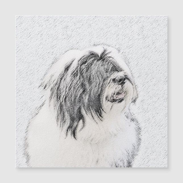 Desenho Collie Com Carapaça - Arte Cachorra Origin (Frente)