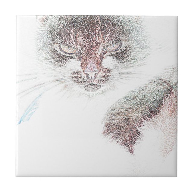 Desenho Da Cara Do Cate Cute Zangado (Frente)