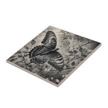 Desenho de borboletas brancas e pretas