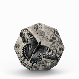 Desenho de borboletas brancas e pretas