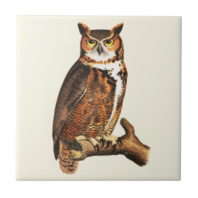 Desenho de coroa excelente de safra (Frente)